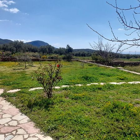 “Villa Othon-Leni” Paralia Demonias Exterior foto